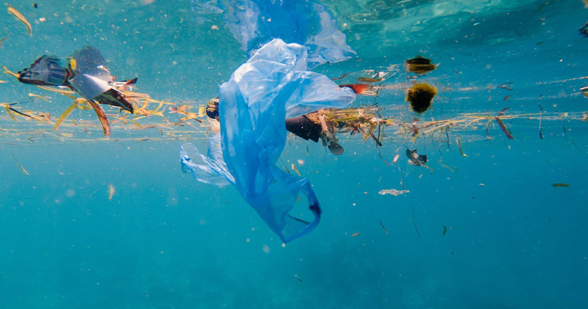 Inadequate Treatment of Wastewater, What Happens Next?