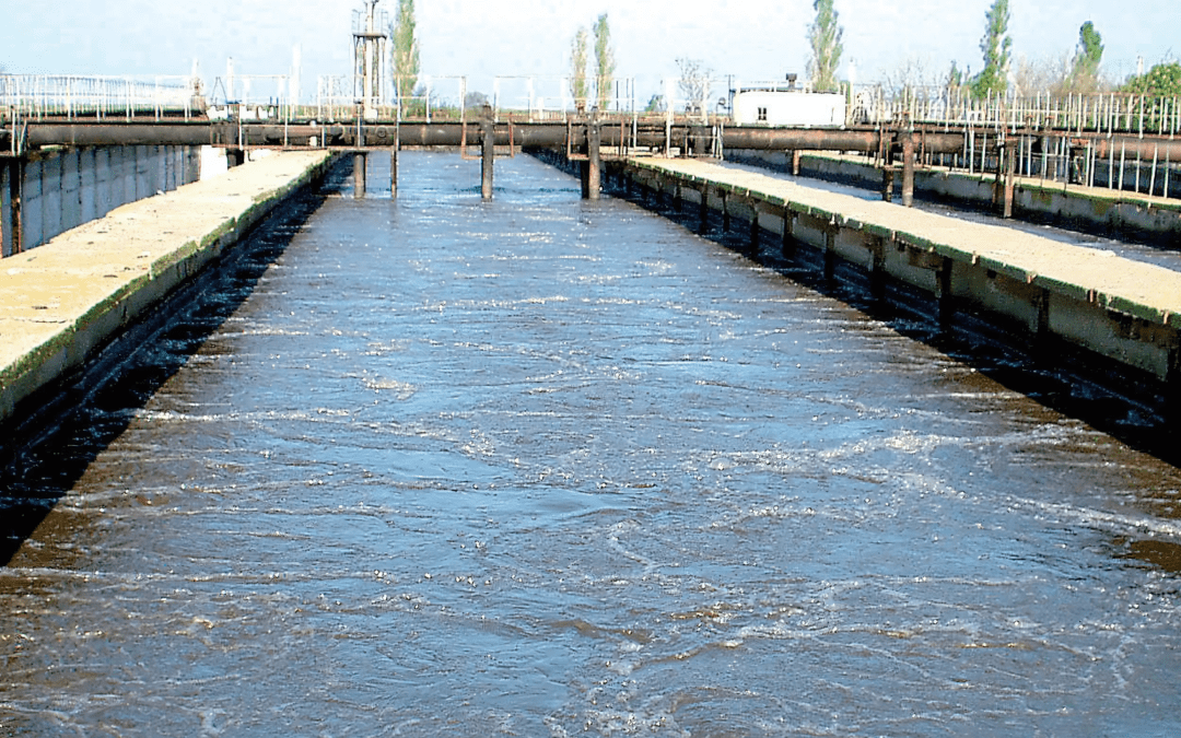 Next-Generation Aeration Systems Boosting Efficiency and Reducing Energy Costs - Euroteck